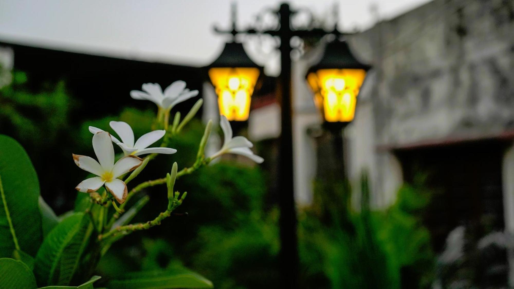 Stay Banaras - A Boutique Hotel Varanasi Exterior foto